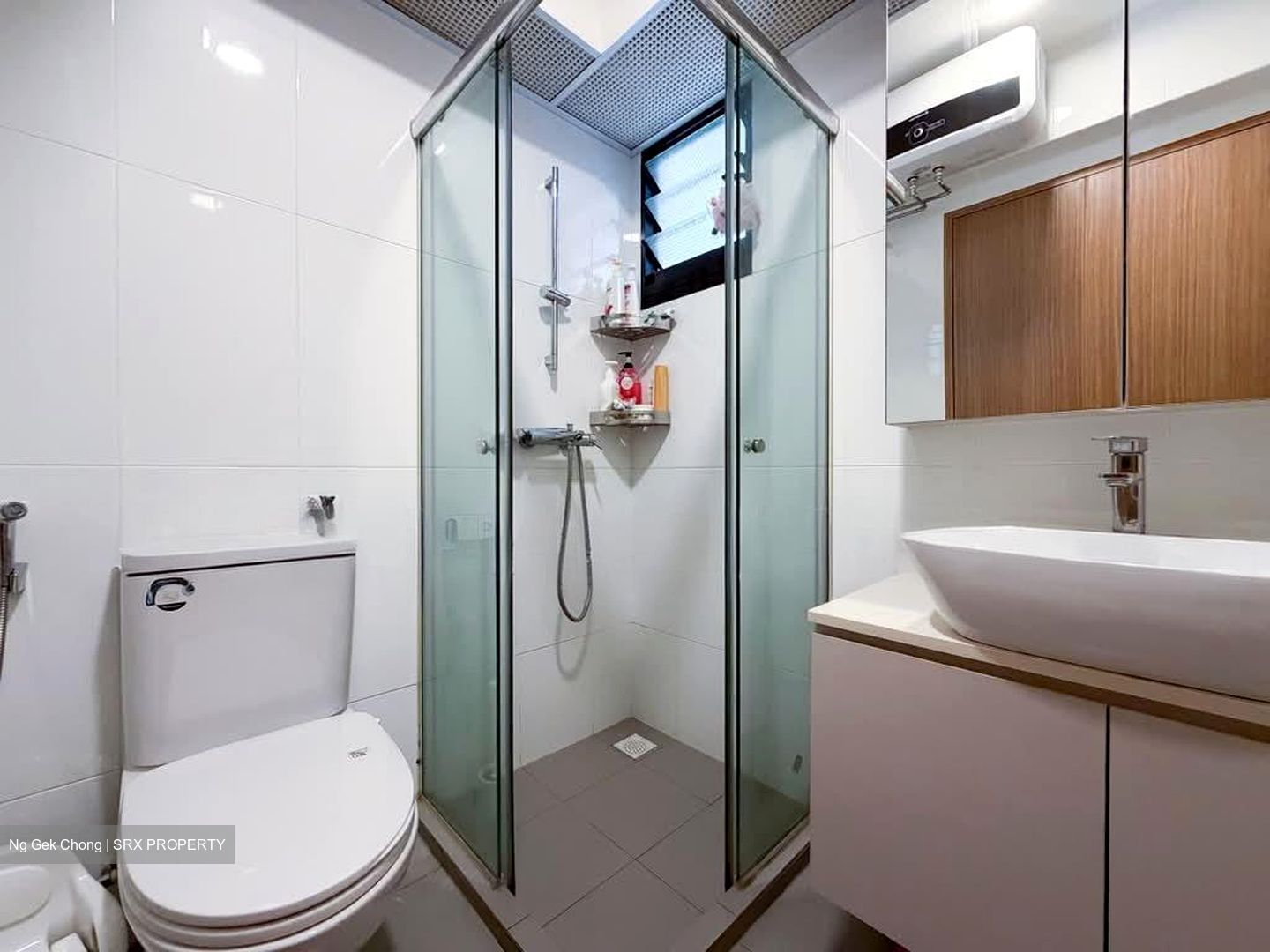 Blk 113A Alkaff Oasis (Toa Payoh), HDB 3 Rooms #574854421